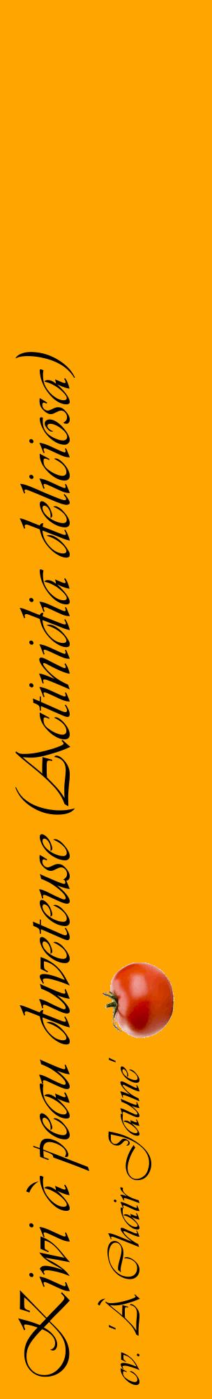 Étiquette de : Actinidia deliciosa cv. 'À Chair Jaune' - format c - style noire22_basiqueviv avec comestibilité simplifiée
