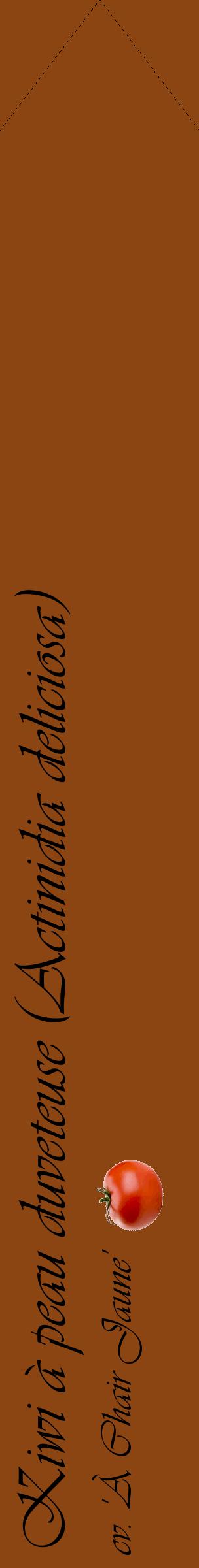 Étiquette de : Actinidia deliciosa cv. 'À Chair Jaune' - format c - style noire30_simple_simpleviv avec comestibilité simplifiée - position verticale