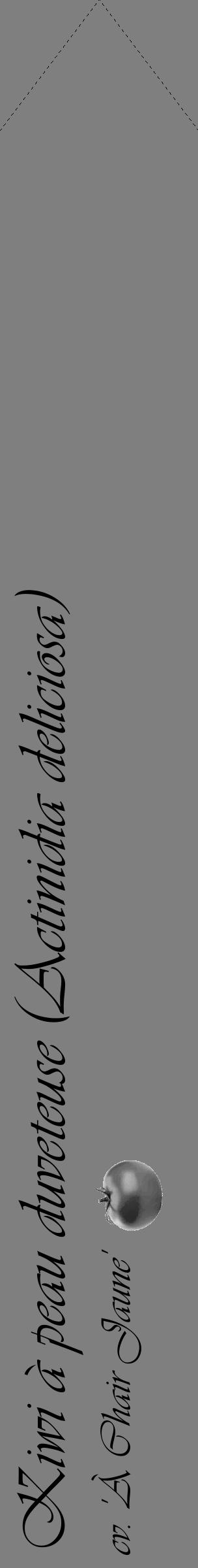 Étiquette de : Actinidia deliciosa cv. 'À Chair Jaune' - format c - style noire31_simple_simpleviv avec comestibilité simplifiée - position verticale