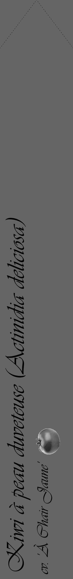 Étiquette de : Actinidia deliciosa cv. 'À Chair Jaune' - format c - style noire32_simple_simpleviv avec comestibilité simplifiée - position verticale