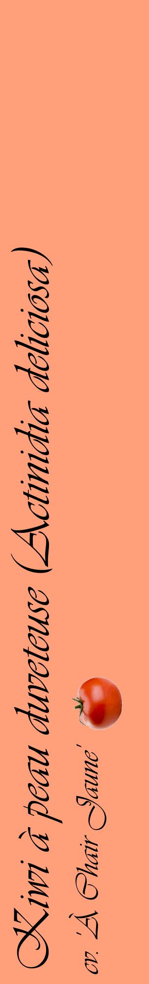 Étiquette de : Actinidia deliciosa cv. 'À Chair Jaune' - format c - style noire39_basiqueviv avec comestibilité simplifiée