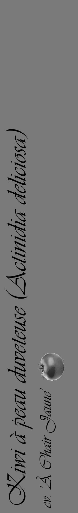 Étiquette de : Actinidia deliciosa cv. 'À Chair Jaune' - format c - style noire3basique_basique_basiqueviv avec comestibilité simplifiée - position verticale