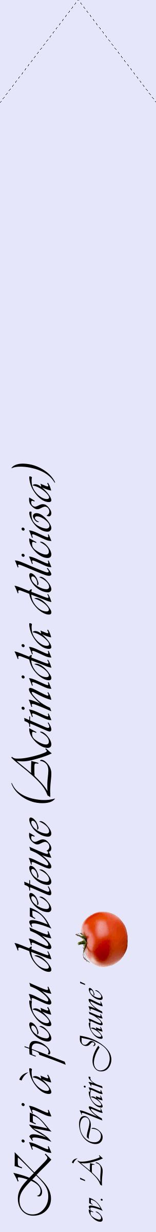 Étiquette de : Actinidia deliciosa cv. 'À Chair Jaune' - format c - style noire55_simpleviv avec comestibilité simplifiée