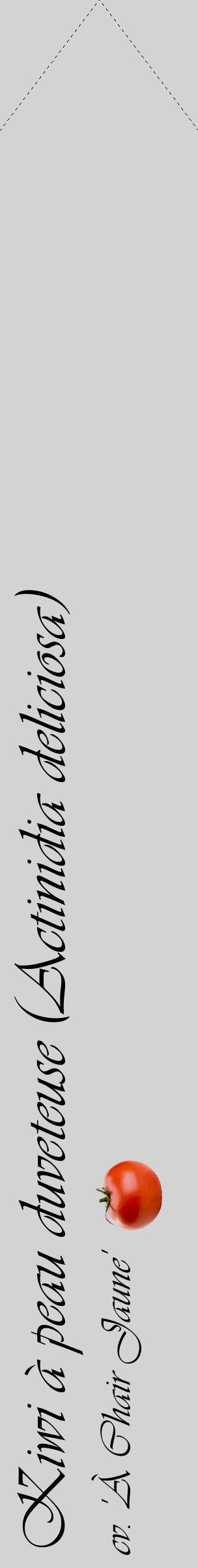 Étiquette de : Actinidia deliciosa cv. 'À Chair Jaune' - format c - style noire56_simpleviv avec comestibilité simplifiée