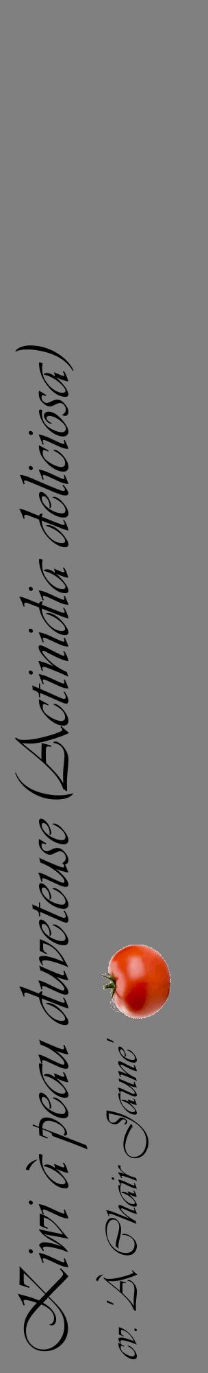 Étiquette de : Actinidia deliciosa cv. 'À Chair Jaune' - format c - style noire57_basiqueviv avec comestibilité simplifiée