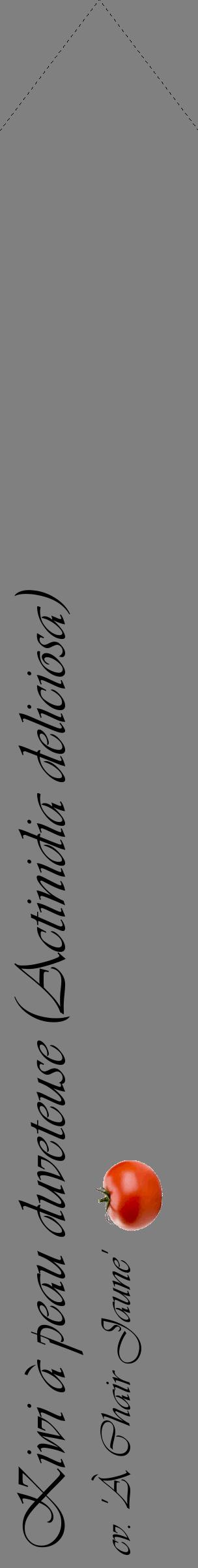 Étiquette de : Actinidia deliciosa cv. 'À Chair Jaune' - format c - style noire57_simpleviv avec comestibilité simplifiée