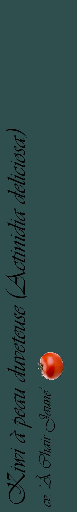 Étiquette de : Actinidia deliciosa cv. 'À Chair Jaune' - format c - style noire58_basiqueviv avec comestibilité simplifiée