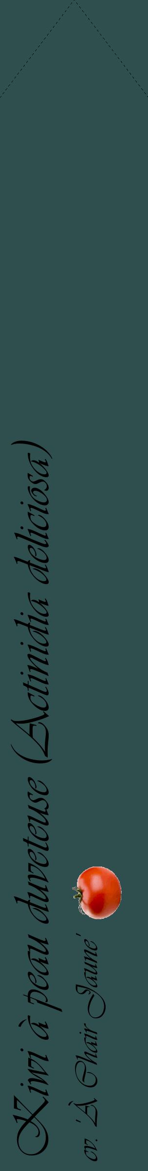 Étiquette de : Actinidia deliciosa cv. 'À Chair Jaune' - format c - style noire58_simpleviv avec comestibilité simplifiée