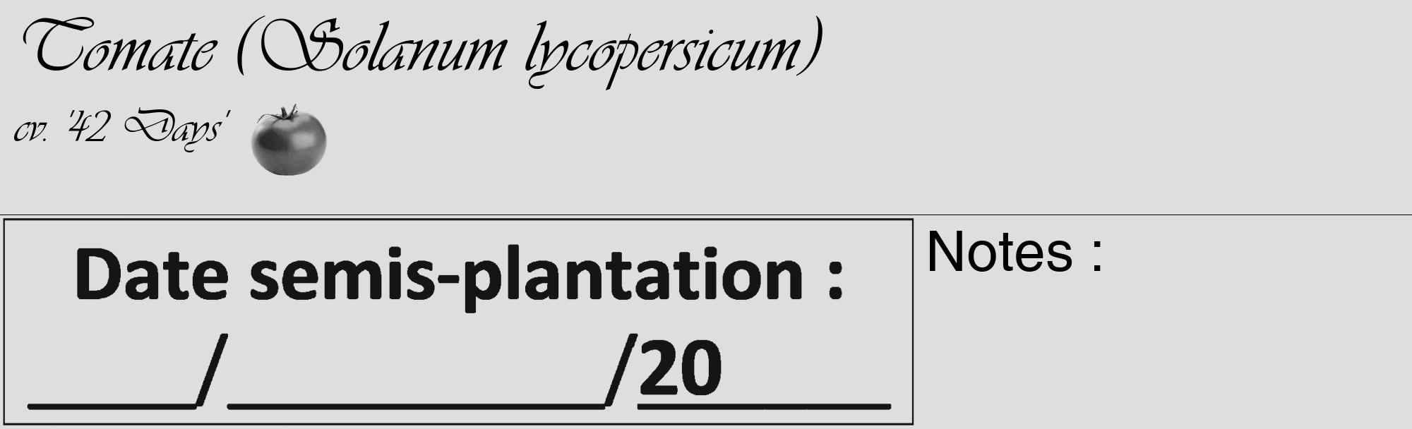 Étiquette de : Solanum lycopersicum cv. '42 Days' - format c - style noire20_basique_basiqueviv avec comestibilité simplifiée