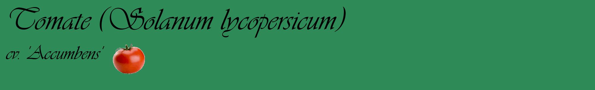 Étiquette de : Solanum lycopersicum cv. 'Accumbens' - format c - style noire11basique_basique_basiqueviv avec comestibilité simplifiée