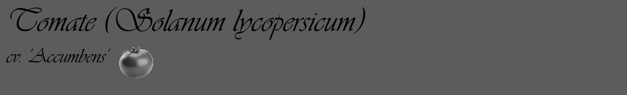 Étiquette de : Solanum lycopersicum cv. 'Accumbens' - format c - style noire49_basique_basiqueviv avec comestibilité simplifiée