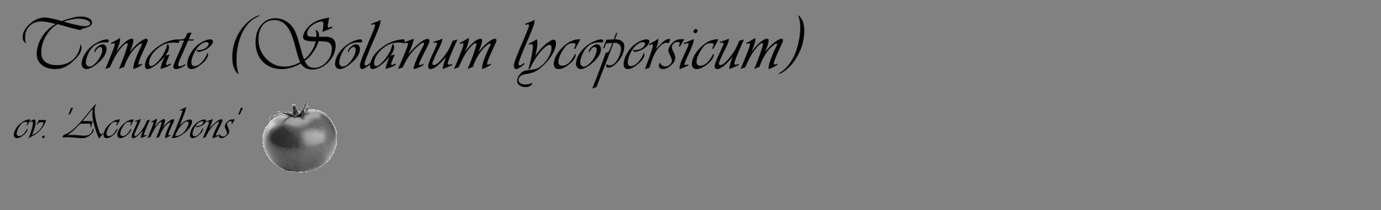 Étiquette de : Solanum lycopersicum cv. 'Accumbens' - format c - style noire50_basique_basiqueviv avec comestibilité simplifiée