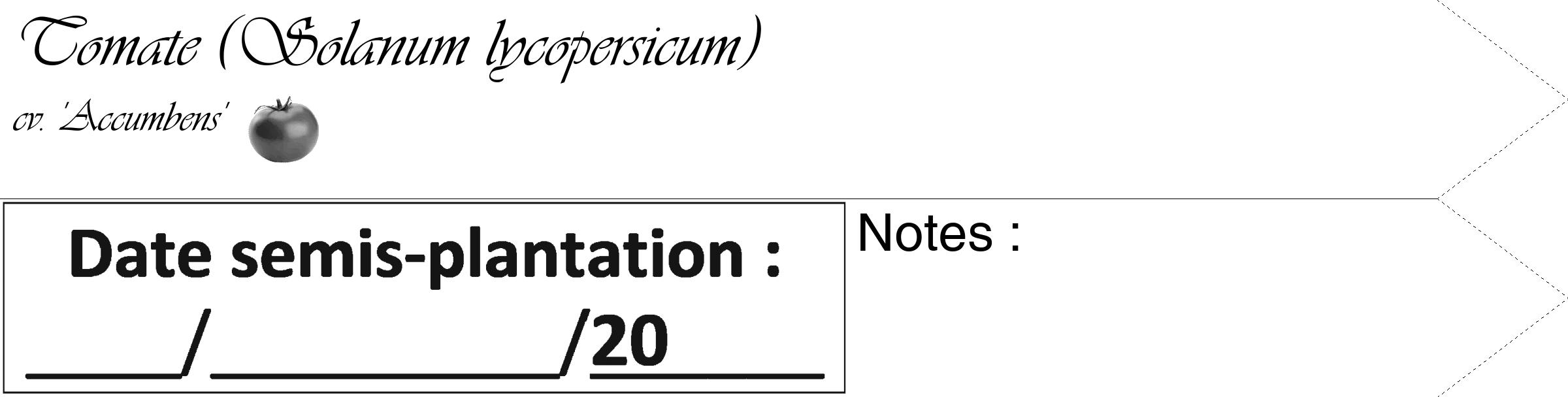 Étiquette de : Solanum lycopersicum cv. 'Accumbens' - format c - style noire60_simple_simpleviv avec comestibilité simplifiée