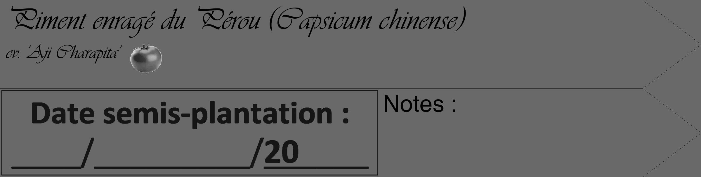 Étiquette de : Capsicum chinense cv. 'Aji Charapita' - format c - style noire51_simple_simpleviv avec comestibilité simplifiée