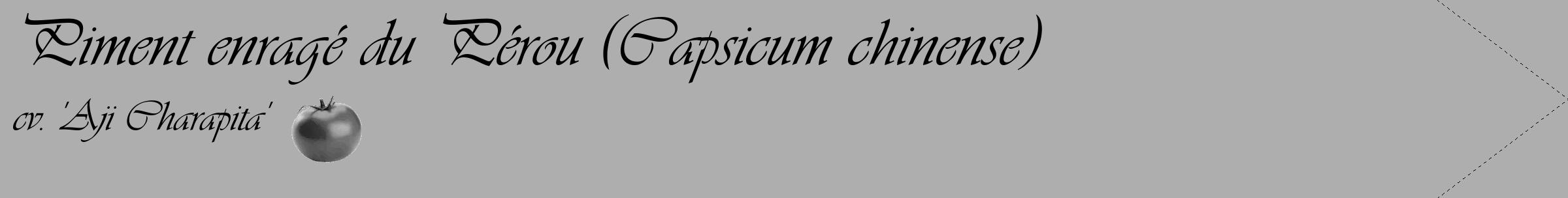 Étiquette de : Capsicum chinense cv. 'Aji Charapita' - format c - style noire53_simple_simpleviv avec comestibilité simplifiée