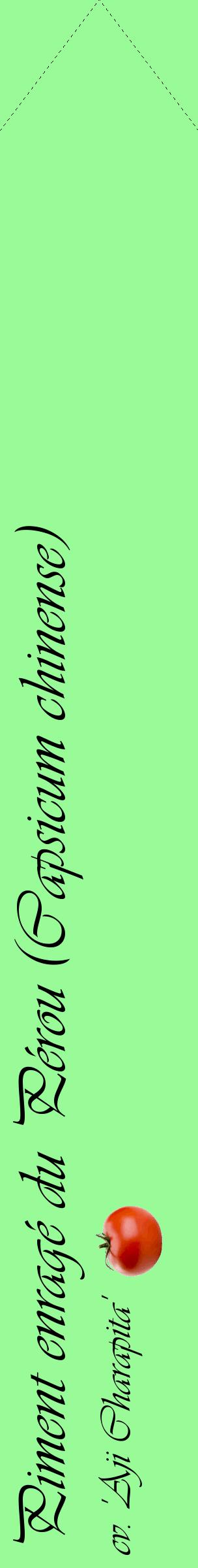 Étiquette de : Capsicum chinense cv. 'Aji Charapita' - format c - style noire14_simpleviv avec comestibilité simplifiée