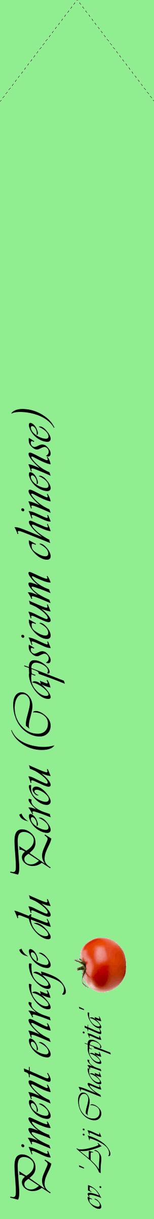 Étiquette de : Capsicum chinense cv. 'Aji Charapita' - format c - style noire15_simpleviv avec comestibilité simplifiée
