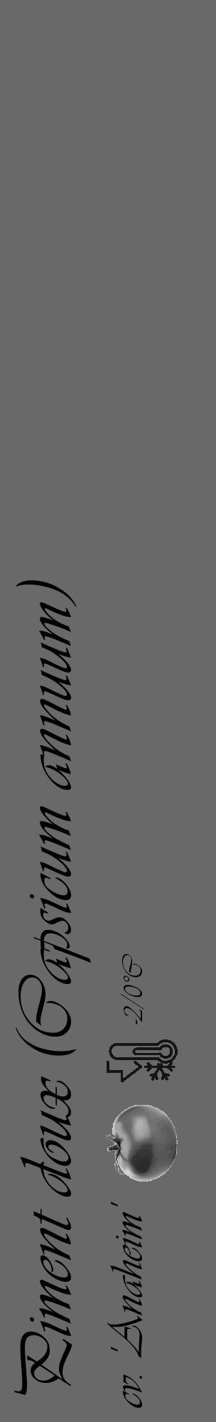 Étiquette de : Capsicum annuum cv. 'Anaheim' - format c - style noire11_basique_basiqueviv avec comestibilité simplifiée - position verticale