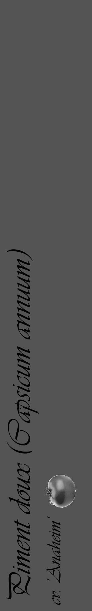 Étiquette de : Capsicum annuum cv. 'Anaheim' - format c - style noire36_basique_basiqueviv avec comestibilité simplifiée - position verticale
