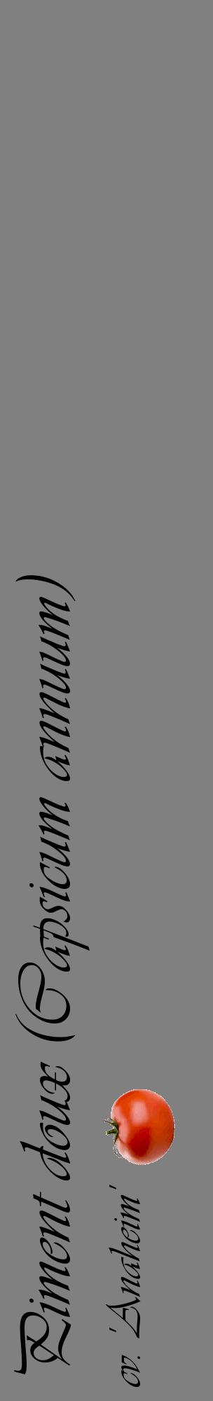 Étiquette de : Capsicum annuum cv. 'Anaheim' - format c - style noire57_basiqueviv avec comestibilité simplifiée