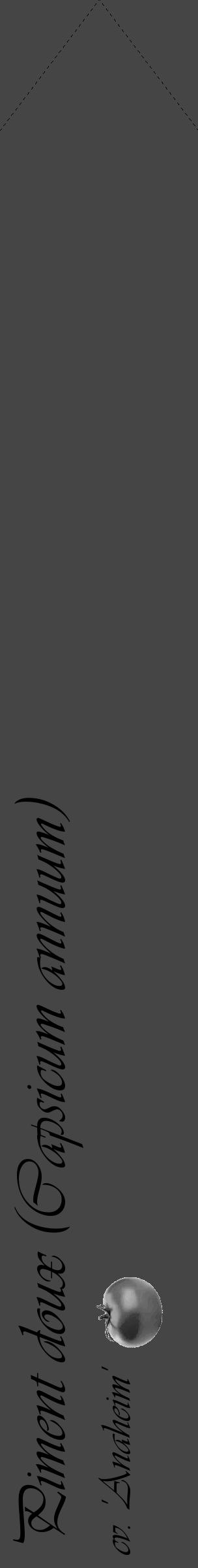 Étiquette de : Capsicum annuum cv. 'Anaheim' - format c - style noire58simple_basique_basiqueviv avec comestibilité simplifiée - position verticale