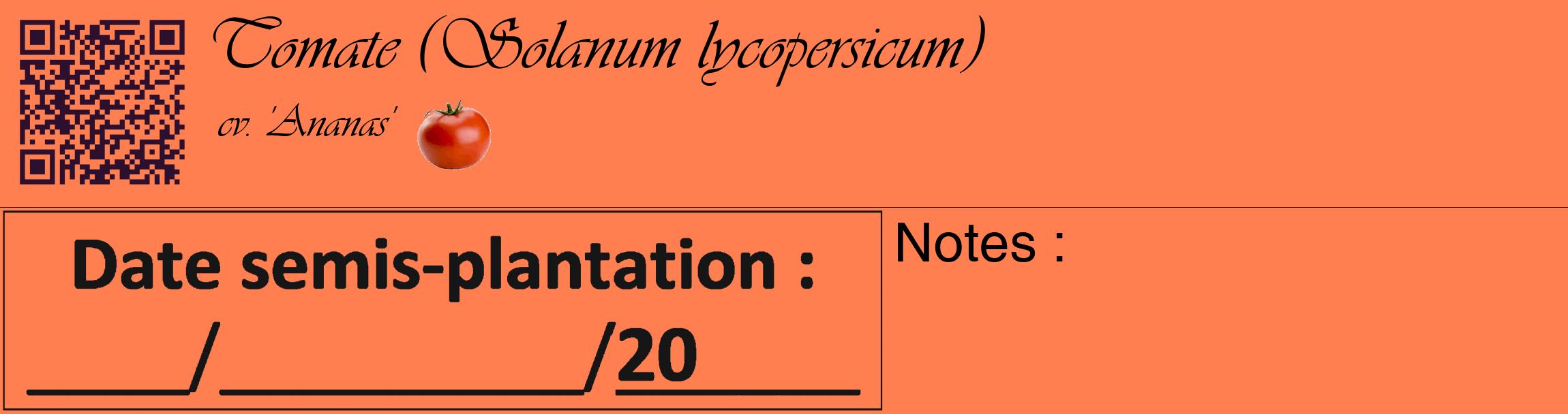 Étiquette de : Solanum lycopersicum cv. 'Ananas' - format c - style noire24_basique_basiqueviv avec qrcode et comestibilité simplifiée