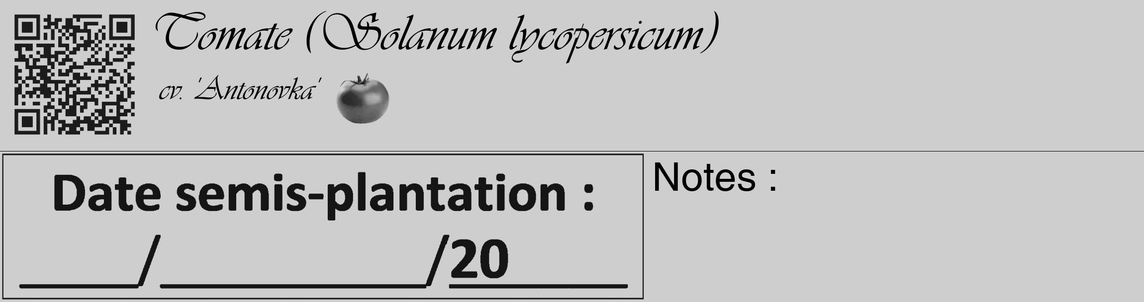 Étiquette de : Solanum lycopersicum cv. 'Antonovka' - format c - style noire17_basique_basiqueviv avec qrcode et comestibilité simplifiée