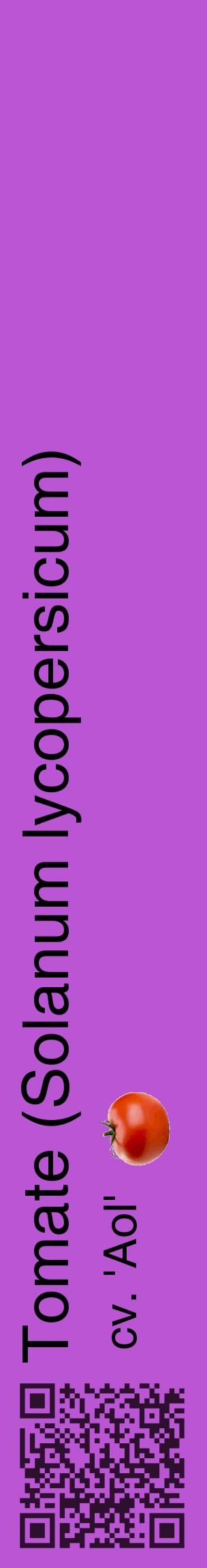 Étiquette de : Solanum lycopersicum cv. 'Aol' - format c - style noire50_basiquehel avec qrcode et comestibilité simplifiée