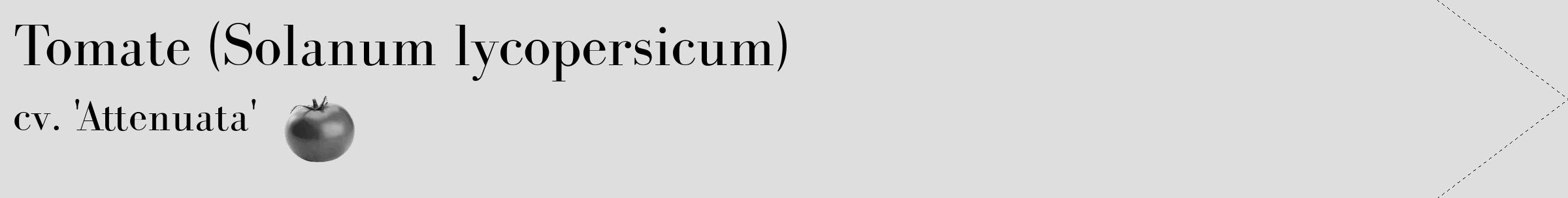 Étiquette de : Solanum lycopersicum cv. 'Attenuata' - format c - style noire20_simple_simplebod avec comestibilité simplifiée