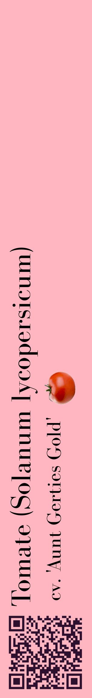 Étiquette de : Solanum lycopersicum cv. 'Aunt Gerties Gold' - format c - style noire41_basiquebod avec qrcode et comestibilité simplifiée