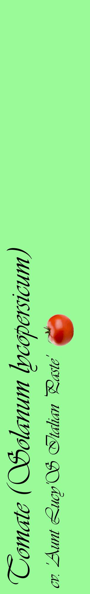 Étiquette de : Solanum lycopersicum cv. 'Aunt Lucy'S Italian Paste' - format c - style noire14_basiqueviv avec comestibilité simplifiée