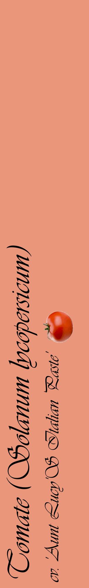 Étiquette de : Solanum lycopersicum cv. 'Aunt Lucy'S Italian Paste' - format c - style noire37_basiqueviv avec comestibilité simplifiée