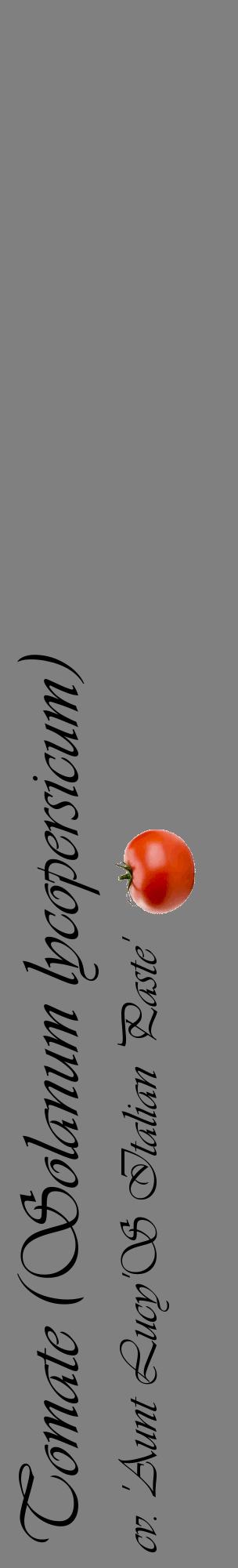 Étiquette de : Solanum lycopersicum cv. 'Aunt Lucy'S Italian Paste' - format c - style noire57_basiqueviv avec comestibilité simplifiée