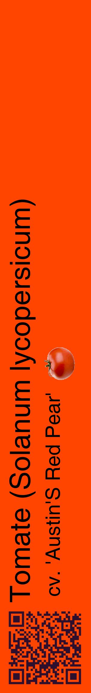 Étiquette de : Solanum lycopersicum cv. 'Austin'S Red Pear' - format c - style noire26_basiquehel avec qrcode et comestibilité simplifiée
