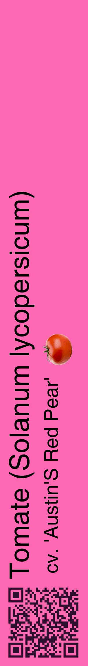Étiquette de : Solanum lycopersicum cv. 'Austin'S Red Pear' - format c - style noire42_basiquehel avec qrcode et comestibilité simplifiée