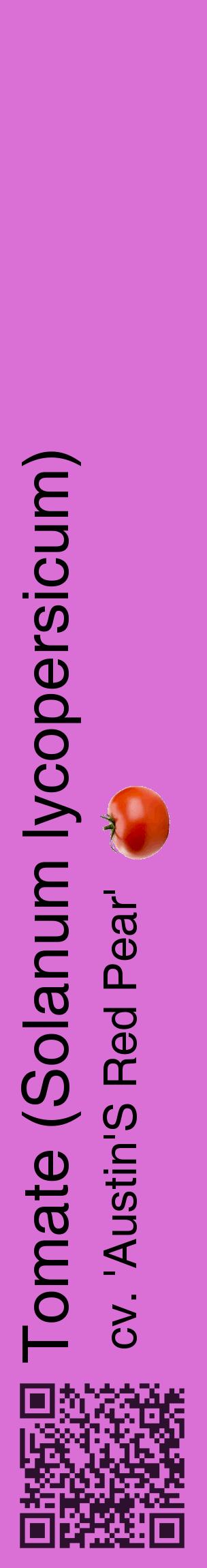 Étiquette de : Solanum lycopersicum cv. 'Austin'S Red Pear' - format c - style noire52_basiquehel avec qrcode et comestibilité simplifiée