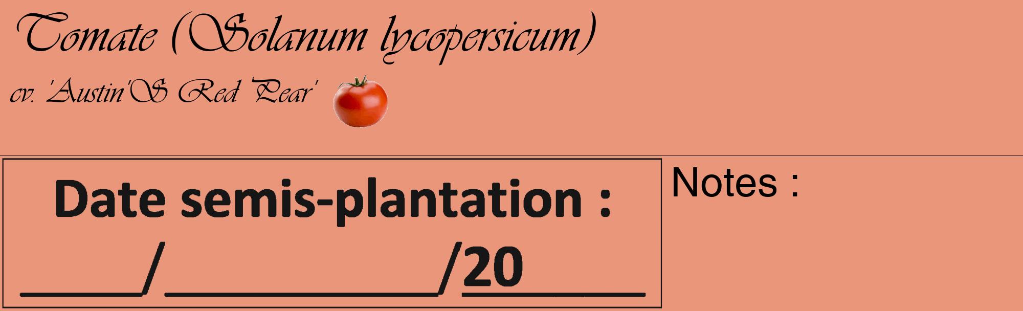 Étiquette de : Solanum lycopersicum cv. 'Austin'S Red Pear' - format c - style noire37_basique_basiqueviv avec comestibilité simplifiée