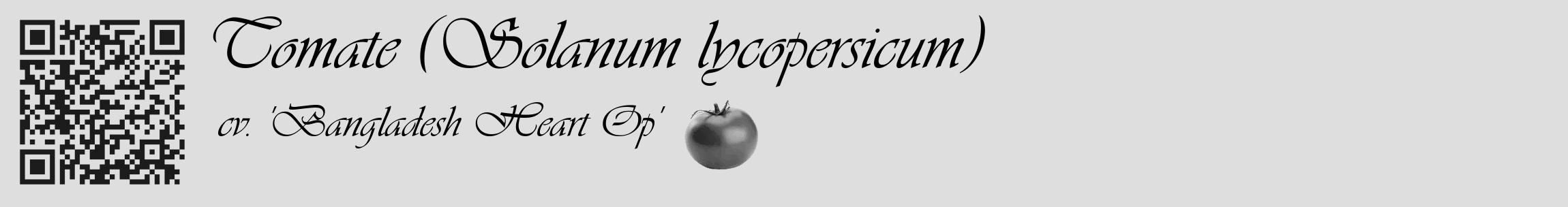 Étiquette de : Solanum lycopersicum cv. 'Bangladesh Heart Op' - format c - style noire20_basique_basiqueviv avec qrcode et comestibilité simplifiée