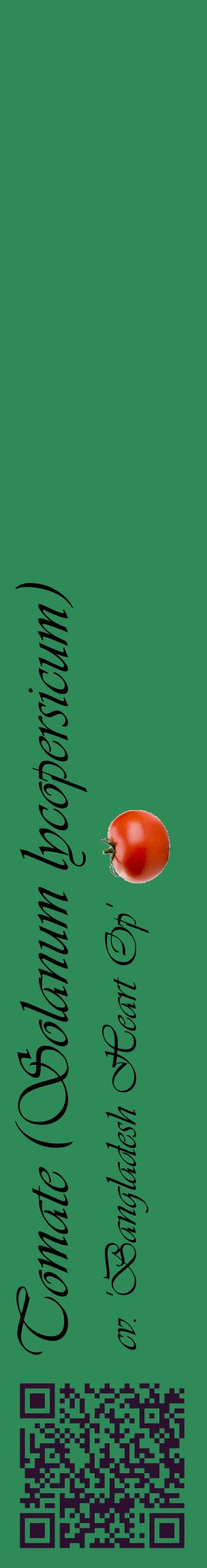 Étiquette de : Solanum lycopersicum cv. 'Bangladesh Heart Op' - format c - style noire11_basiqueviv avec qrcode et comestibilité simplifiée