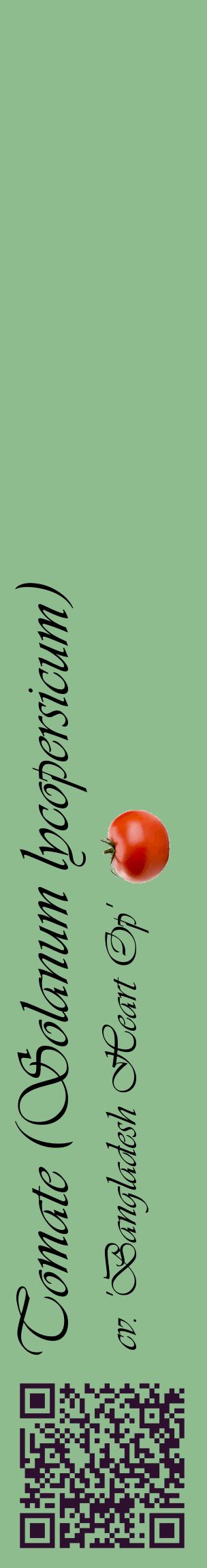 Étiquette de : Solanum lycopersicum cv. 'Bangladesh Heart Op' - format c - style noire13_basiqueviv avec qrcode et comestibilité simplifiée
