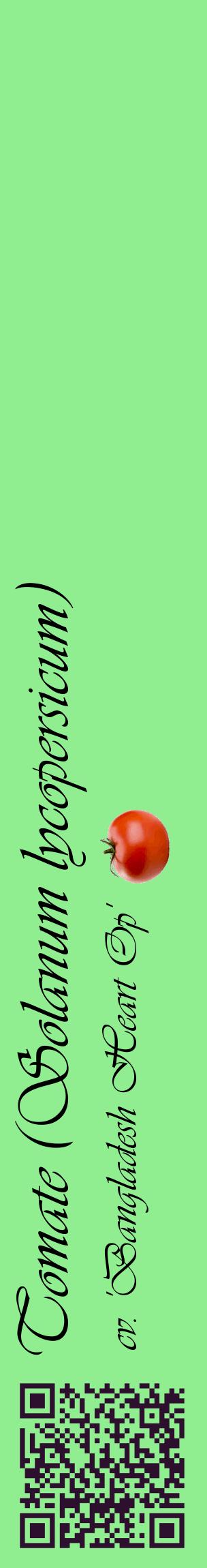Étiquette de : Solanum lycopersicum cv. 'Bangladesh Heart Op' - format c - style noire15_basiqueviv avec qrcode et comestibilité simplifiée