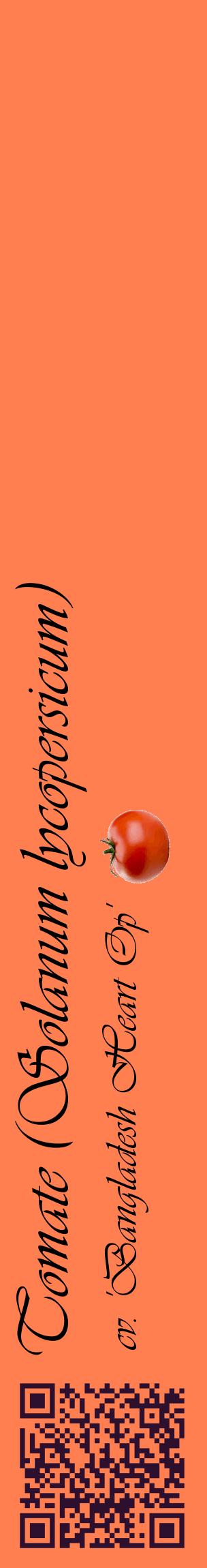 Étiquette de : Solanum lycopersicum cv. 'Bangladesh Heart Op' - format c - style noire24_basiqueviv avec qrcode et comestibilité simplifiée
