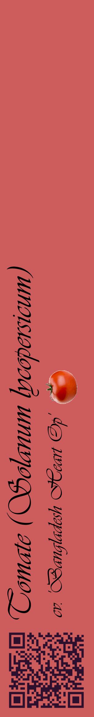 Étiquette de : Solanum lycopersicum cv. 'Bangladesh Heart Op' - format c - style noire35_basiqueviv avec qrcode et comestibilité simplifiée