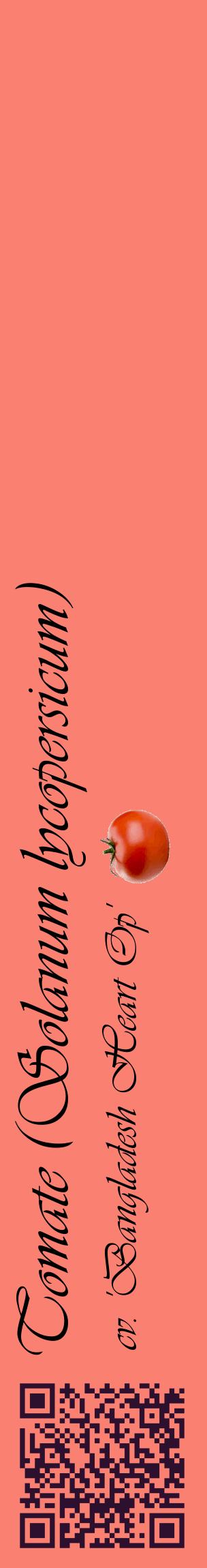 Étiquette de : Solanum lycopersicum cv. 'Bangladesh Heart Op' - format c - style noire38_basiqueviv avec qrcode et comestibilité simplifiée