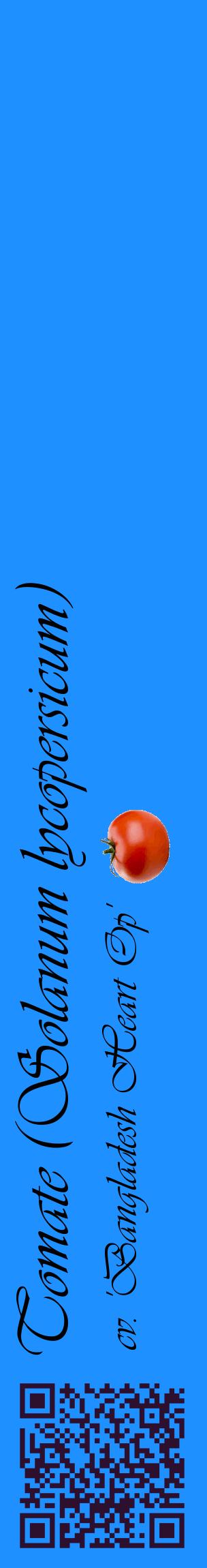 Étiquette de : Solanum lycopersicum cv. 'Bangladesh Heart Op' - format c - style noire3_basiqueviv avec qrcode et comestibilité simplifiée