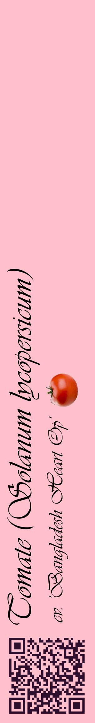 Étiquette de : Solanum lycopersicum cv. 'Bangladesh Heart Op' - format c - style noire40_basiqueviv avec qrcode et comestibilité simplifiée