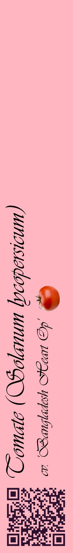 Étiquette de : Solanum lycopersicum cv. 'Bangladesh Heart Op' - format c - style noire41_basiqueviv avec qrcode et comestibilité simplifiée