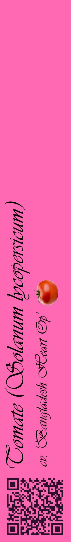 Étiquette de : Solanum lycopersicum cv. 'Bangladesh Heart Op' - format c - style noire42_basiqueviv avec qrcode et comestibilité simplifiée