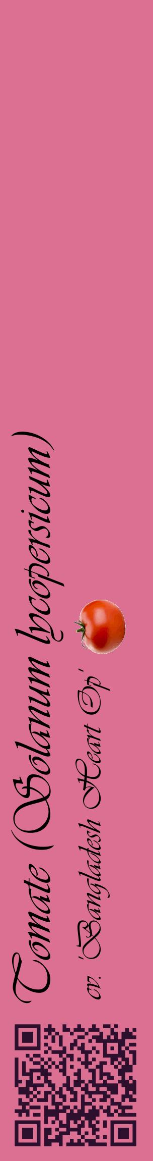 Étiquette de : Solanum lycopersicum cv. 'Bangladesh Heart Op' - format c - style noire44_basiqueviv avec qrcode et comestibilité simplifiée