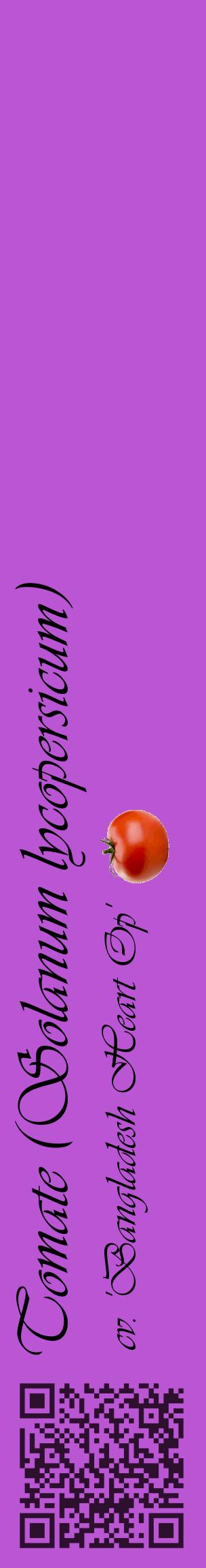 Étiquette de : Solanum lycopersicum cv. 'Bangladesh Heart Op' - format c - style noire50_basiqueviv avec qrcode et comestibilité simplifiée